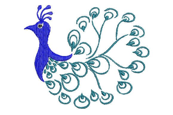 Beautiful Peacock's Tail