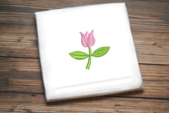 Beautiful Pink Tulip Review